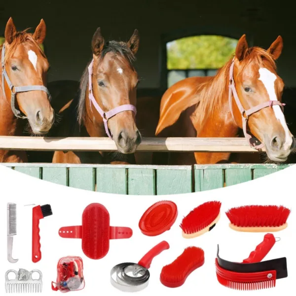 Kit de pansage pour cheval
